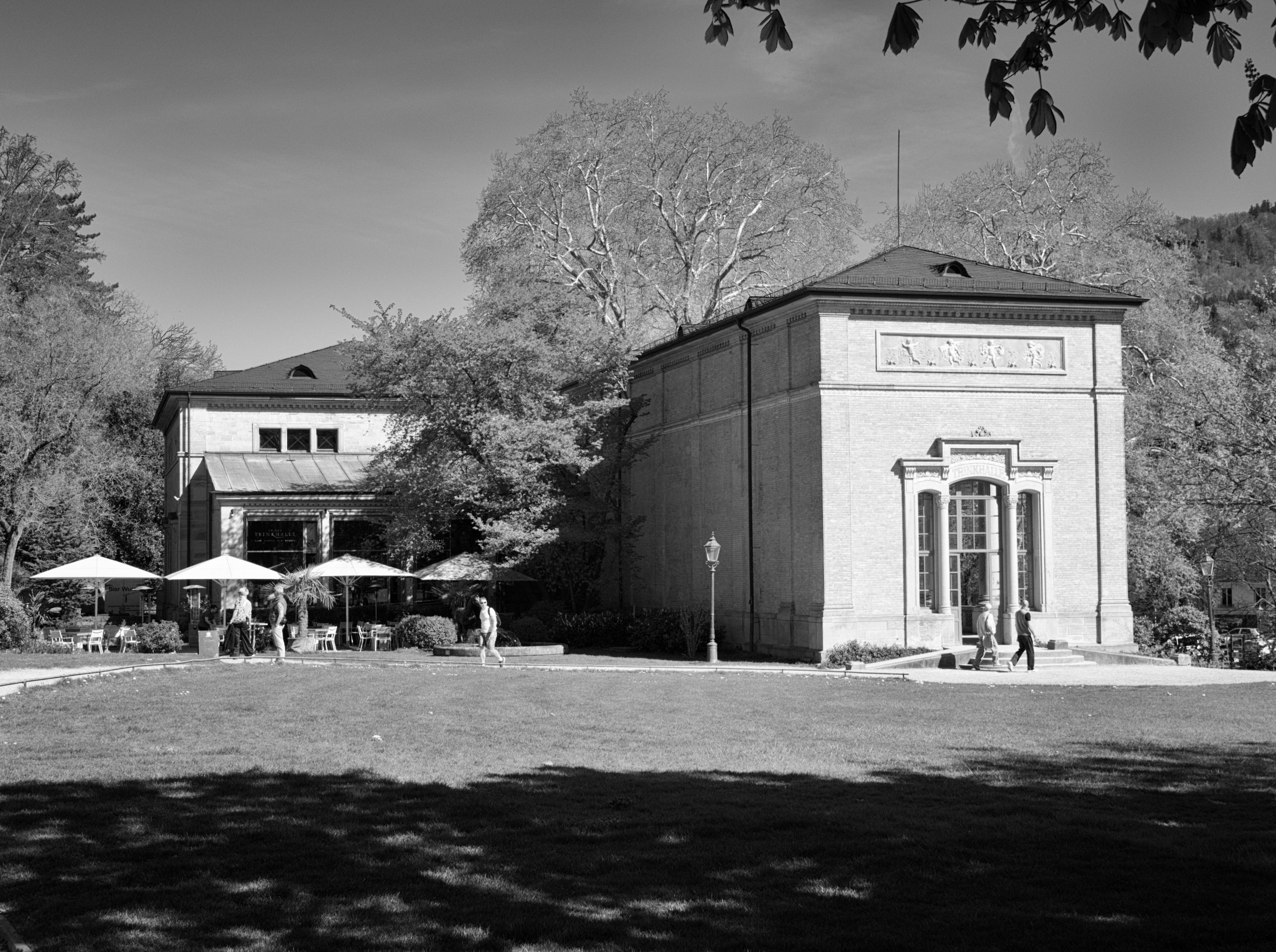 Photo Walk 2025-04-12