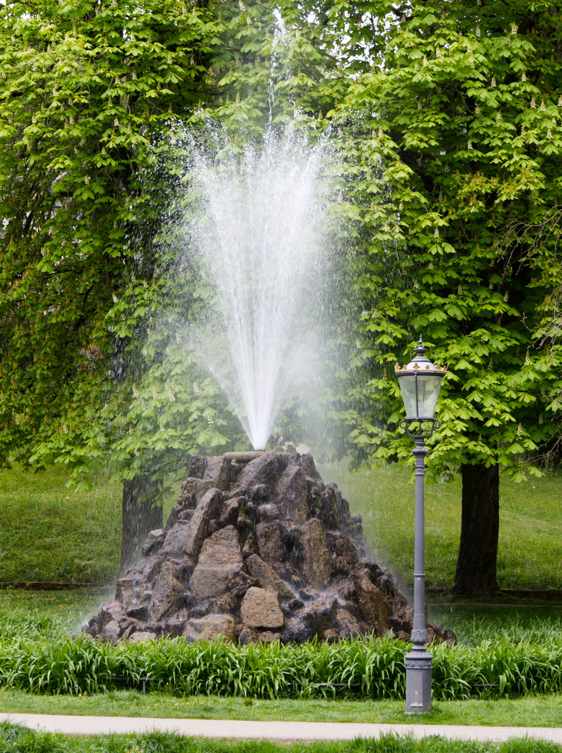 Photo Walk 2025-04-19